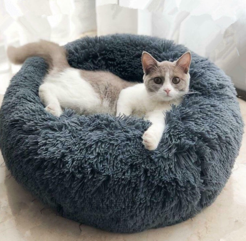A cozy comfort for your pet 🐾