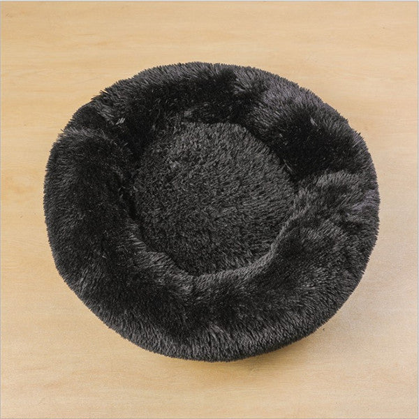 A cozy comfort for your pet 🐾