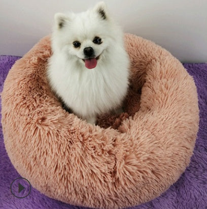 A cozy comfort for your pet 🐾