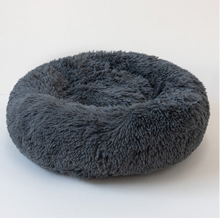 A cozy comfort for your pet 🐾